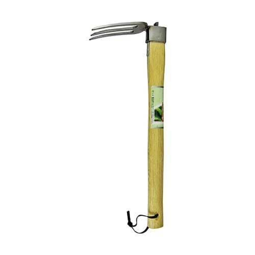 ��ܘY�@�X�e�����X