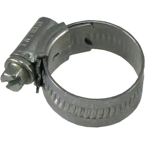 ファミリーツリー