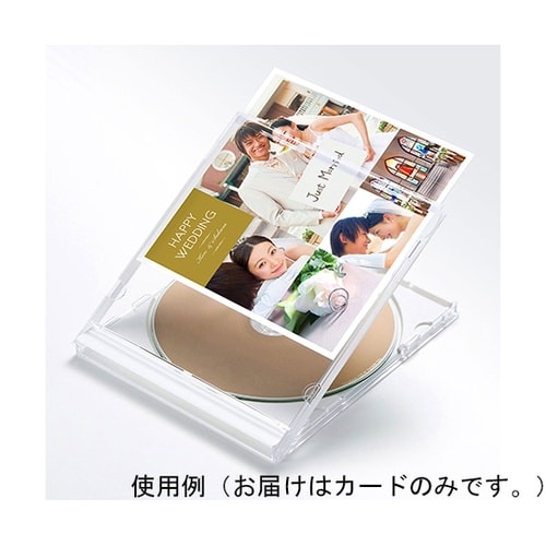 プラケース用インデックスカード