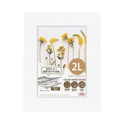 �J���[�y�[�p�[�X�^���h