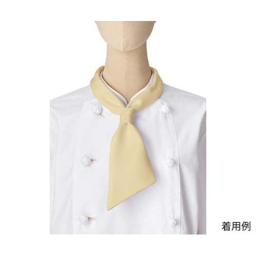 �R�b�N�^�C