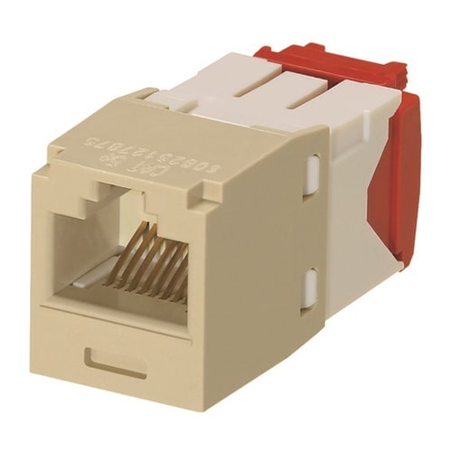 ���W�����[�W���b�N