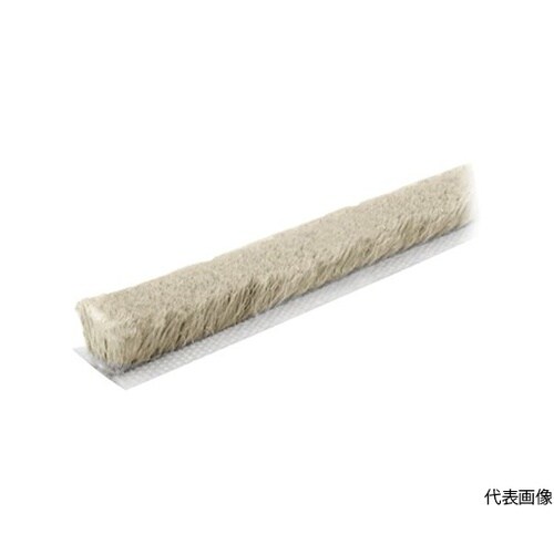 ���w�A�V�[��