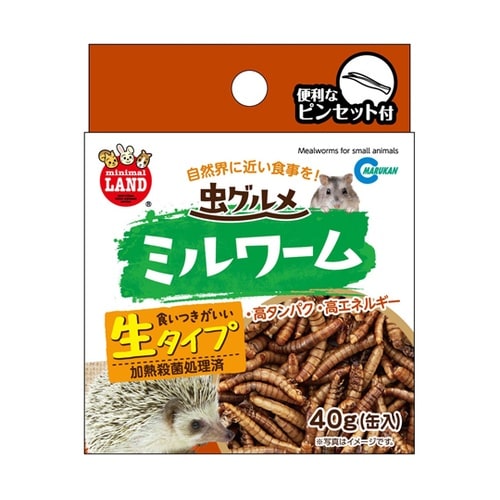 虫グルメ ミルワーム