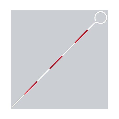 �g���o�[�s��