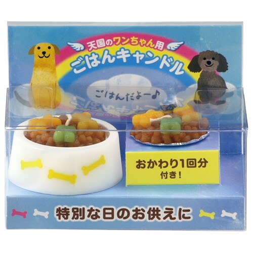 �y�b�g�̂��͂�L�����h��