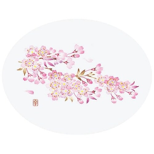 �a���R�[�X�^�[�@�l�G�@�ی^�i�T�O�����j