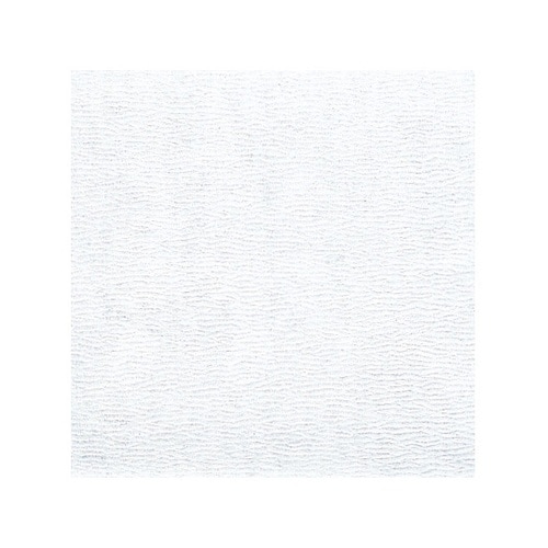 �T���O�����~��