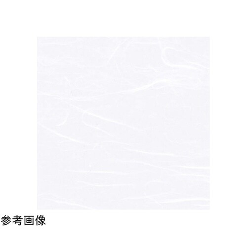 �R���_���~��