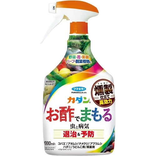 �J�_�����|�ł܂���