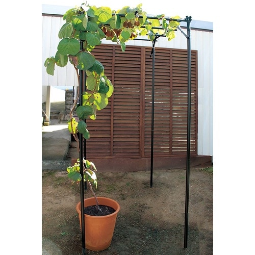 �������̒I�Z�b�g