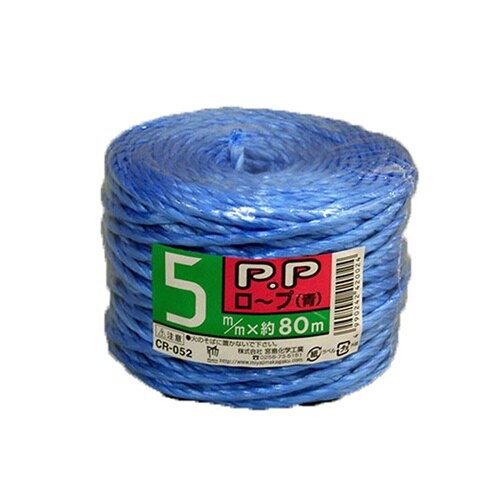 �o�o���[�v�@�T�����~�W�O���@�b�q�V���[�Y