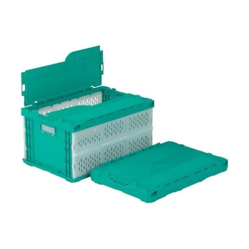 t^̌^܂肽݃Rei[@TTWT