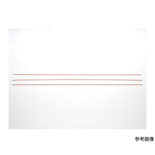 �W���C���g���C��