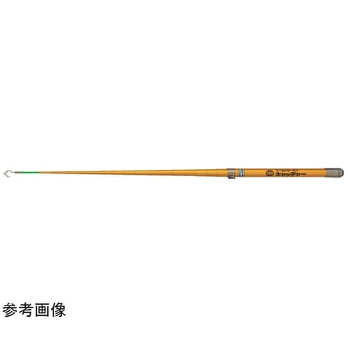 �S�[���h�J�[�{���L���b�`���[