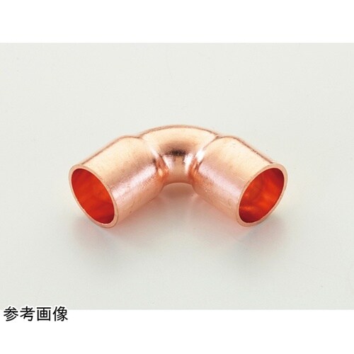 �X�O�����G���{�P�^�S