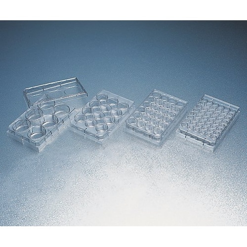 スタックプレト平底フタ付