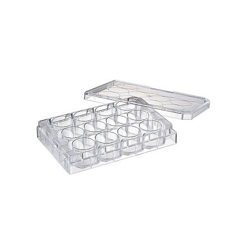 �E�F���|�{�v���[�g