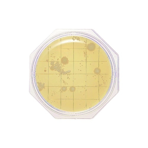 �N���[���X�^���v�Q�T