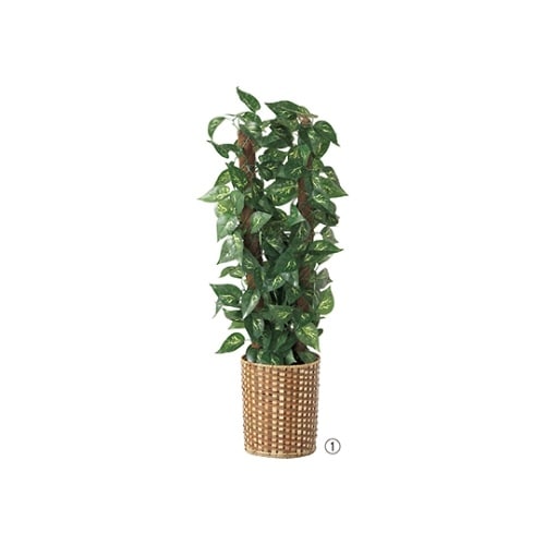 �l�H���؁i�g�P�O�O�����j�@�|�g�X�@