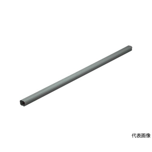 �X�����_�N�g�r�c