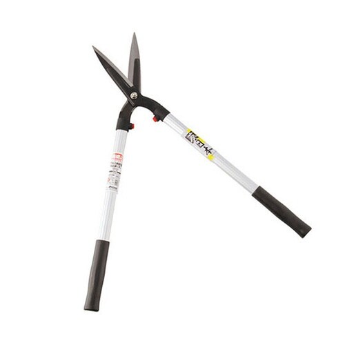 �A���~���y�ʊ�����