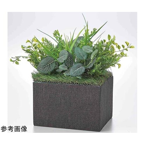 フェイクグリーン ボックス型