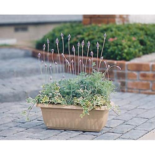 レリーフプランター