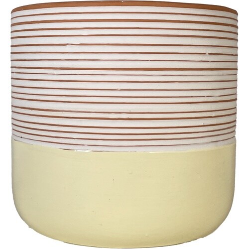 �J���[�|�b�g