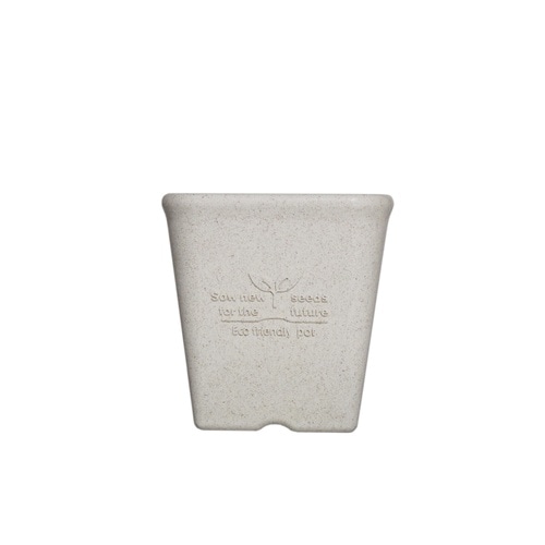 ���݂����X�N�G�A�v���[�g�^�|�b�g�@�P�Q�^