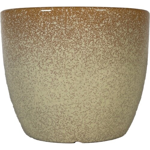 �O���C�Y�|�b�g