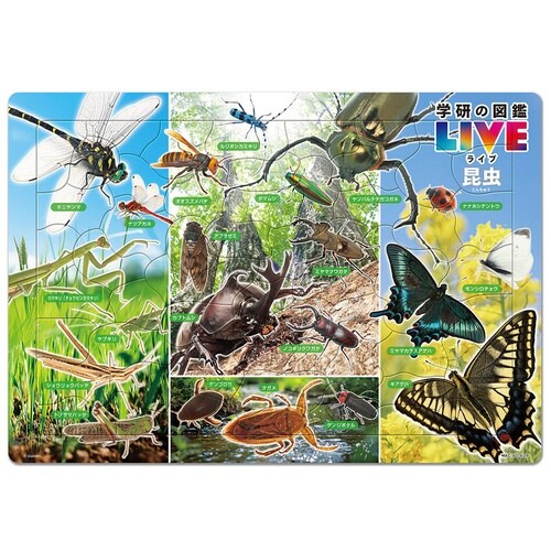 �w���̐}�ӂk�h�u�d