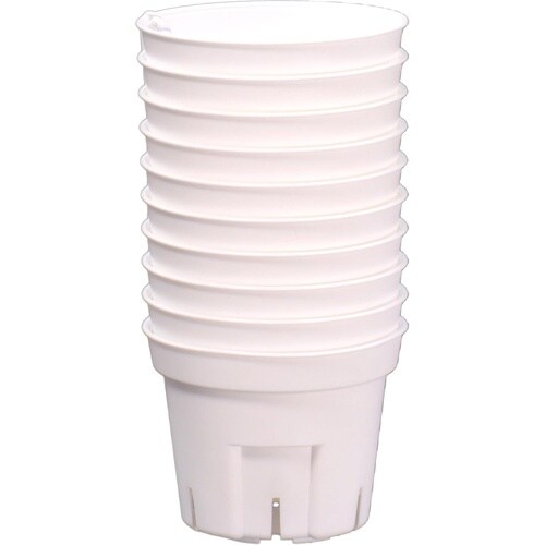 �r�|�b�g�@�P�O�g