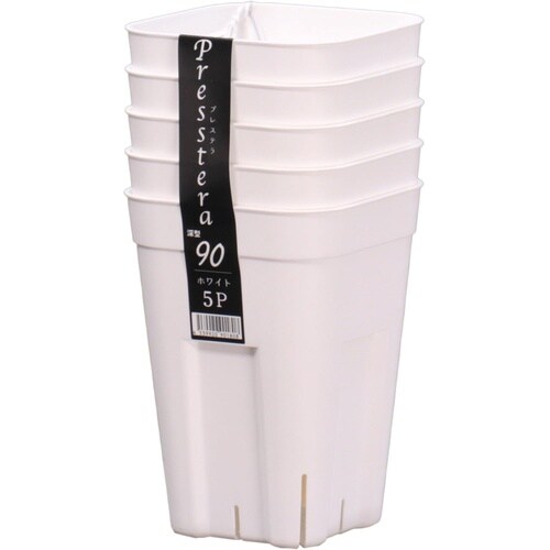 �v���X�e���@�T�g�@�z���C�g