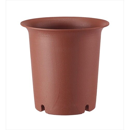 �����@�[�^�@�G�r�`��