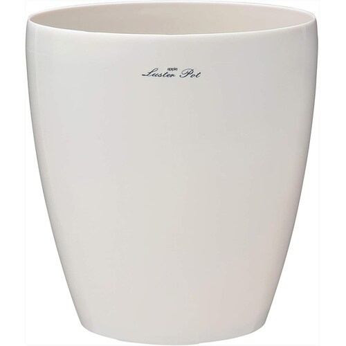 ���X�^�[�|�b�g�@�z���C�g