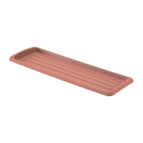 �N�C�[���v���[�g