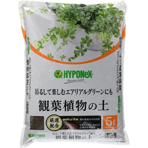 �ϗt�A���̓y