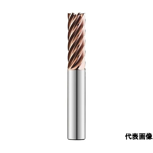 �X�N�G�A�G���h�~��