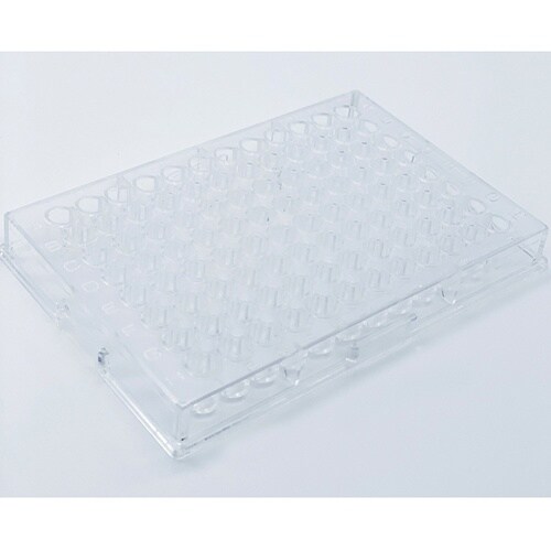 �}�C�N���v���[�g