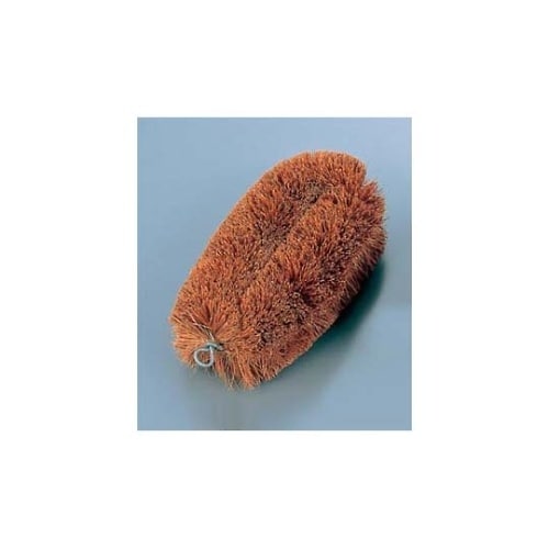 �����^���V