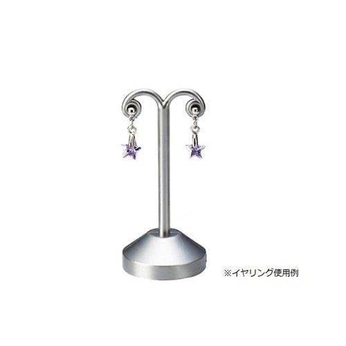 �A�N�Z�T���[�~�j�X�^���h