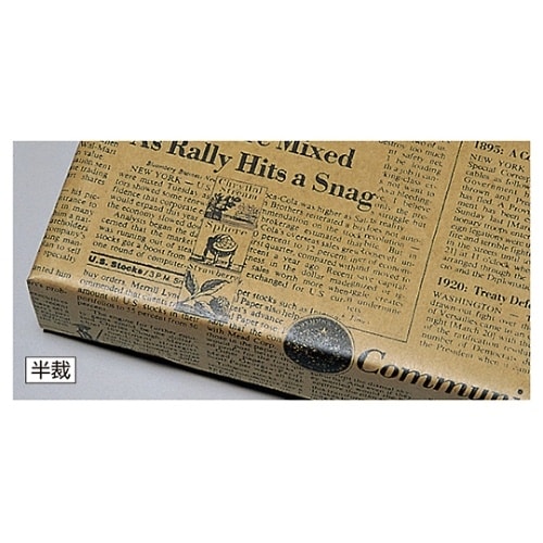 ����@�{�r�[�@����