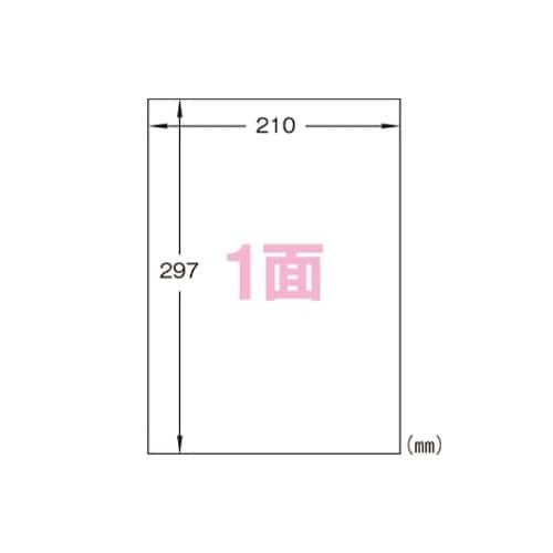 �t�B�������x���V�[��