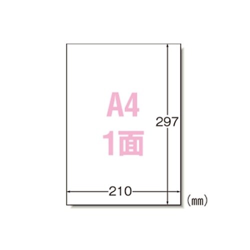 ���x���V�[���@�}�b�g��