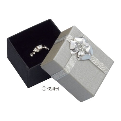 �A�N�Z�T���[�{�b�N�X