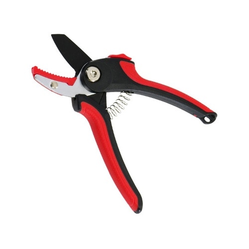 �C�[�W�[�O���b�v������