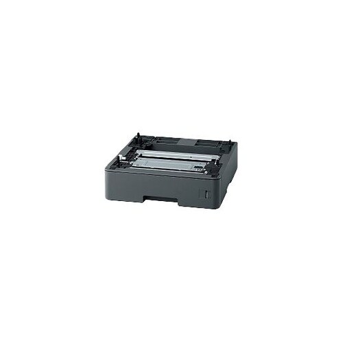 ���݋L�^���g���C