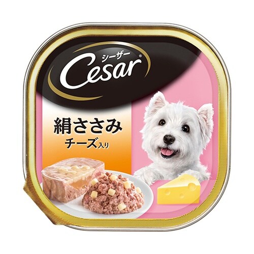 �������݁@�`�[�Y����^���g���E��ؓ���