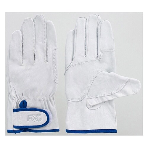 ���{�烌�C���W���[�^�A�e�t���